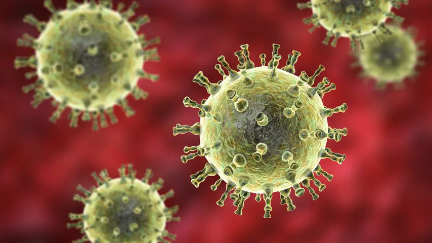 Shingles virus